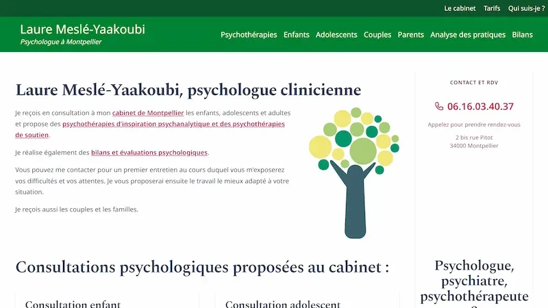 Aperçu du site Laure Meslé Yaakoubi