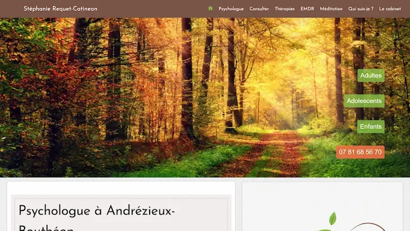 Aperçu du site Stéphanie REQUET-CATINEAN